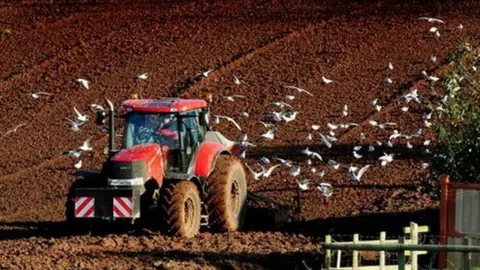 PA Tractor is followed by gulls