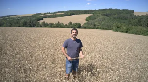 BBC Sébastien Neveux holding blades of wheat