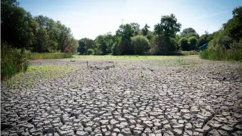 PA Media A dried up lake in Wanstead Park, north east London