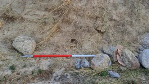 Cornwall Council Remains in dunes