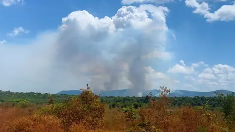 BBC Smoke from forest fires can be see on the horizon