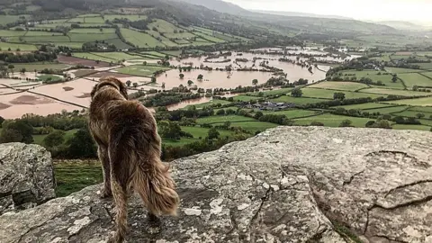 Jade Hanley View of the River Usk from Allt yr Esgair just up the road from Crickhowell