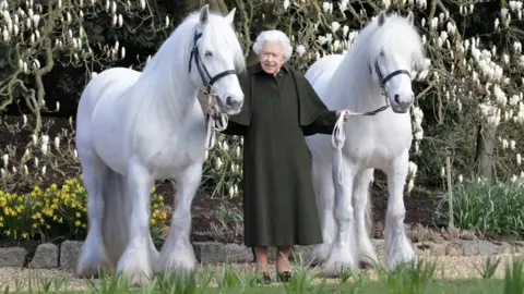 Royal Windsor Horse Show The Queen stands between two large grey fell ponies