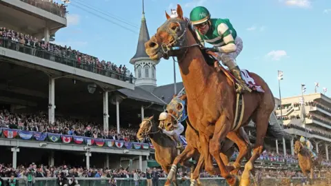 Reuters Accelerate, ridden by Joel Rosario, wins the Breeders' Cup Classic on 3 November 2018