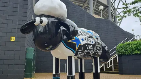 St Oswald's Hospice Wor Shaun outside St James' Park