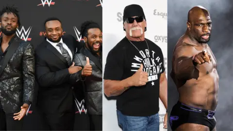 Why is discount hulk hogan hated