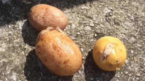 Northumbrian Water Potatoes