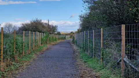  Daniel Mumby The Strawberry Line