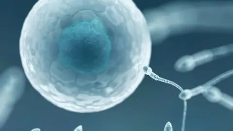 Science Photo Library Egg and sperm