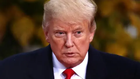 Getty Images US President Donald Trump, 11 November 2018