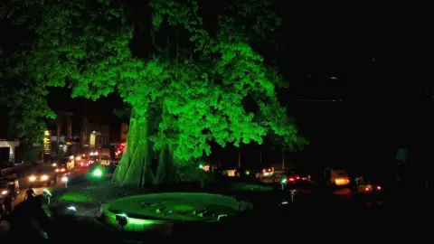 Tourism Ireland Global Greening The Cotton Tree in Sierra Leone