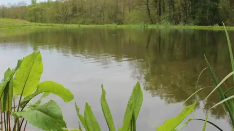 Broadstone Park Broadstone Park