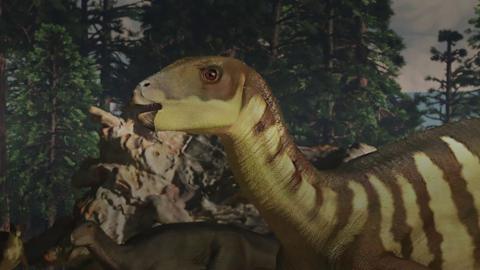 New Dinosaur Related To T. Rex Discovered On Isle Of Wight - BBC News