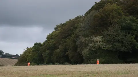 PA Media Jones' Hill Wood in Buckinghamshire.