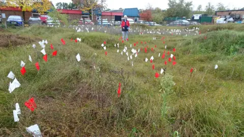 Jo Wood Wormwood site, Brandon