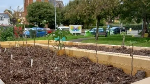 Dorset Council Raised bed at Park Community Garden in Weymouth