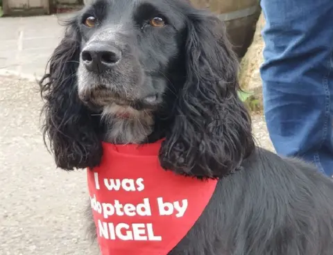 Nigel Smith Nigel's dog