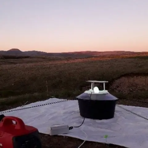 Cairngorms Connect moth trapped