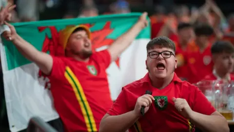 Getty Images Wales fans