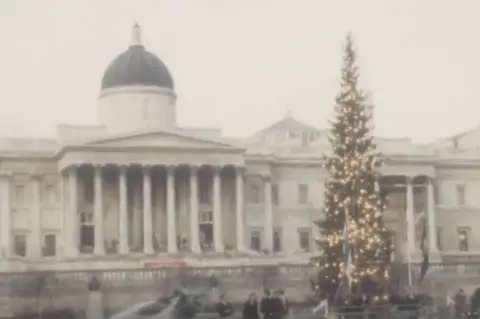 British Pathe Trafalgar tree