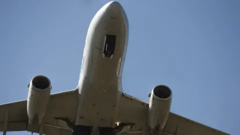 Getty Images American Airlines Airbus (file picture)