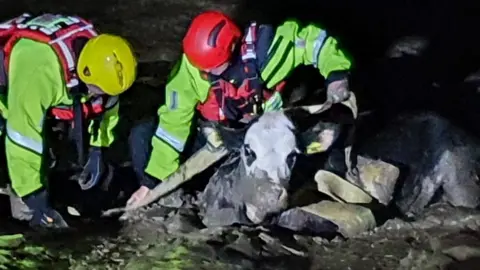 South Wales Fire and Rescue Service Fire crews rescuing Sally