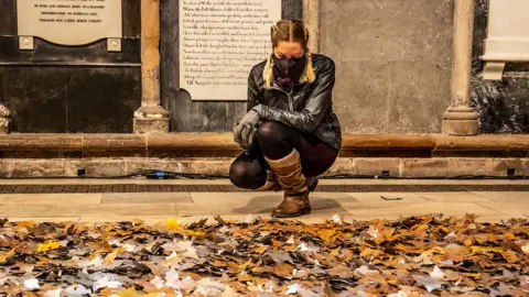 Peter Walker The installation of leaves