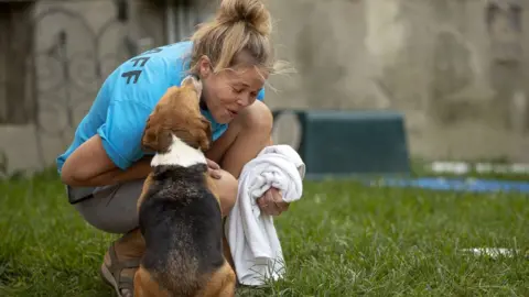 Getty Images Sue Bell laughs as she is licked by a beagle at Homeward Trails Animal Rescue in Fairfax, Virginia on July 21, 2022. (Photo by Ryan M. Kelly for The Washington Post via Getty Images)
