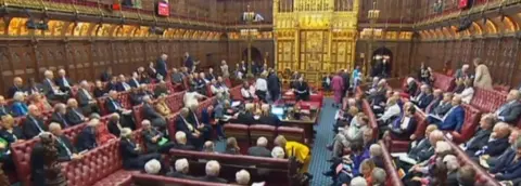 PA House of Lords