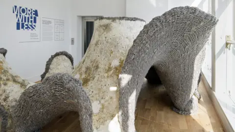 JILL TATE A structure grown from fungal mycelium at Newcastle's Farrell Centre