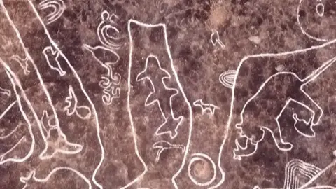 BBC Marathi Petroglyph sharks