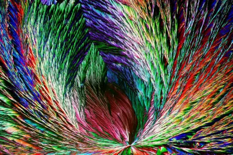 Henri Koskinen Citric acid crystallized on a microscope glass slide