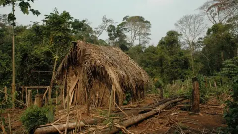 J Pessoa/Survival International A photo of one of the straw huts built by the Man of the Hole