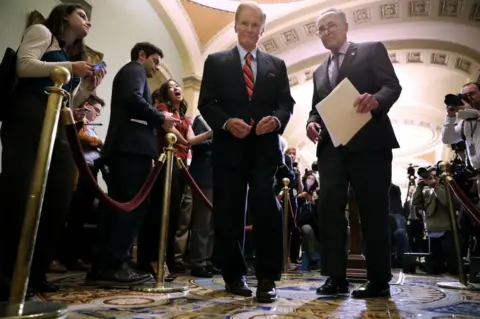 Getty Images Mr Nelson (left) with Mr Schumer in Washington