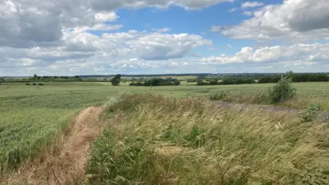 Laura Coffey/BBC Field in Titchmarsh