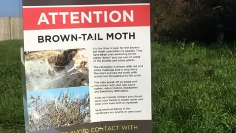 Notice about brown-tail moth