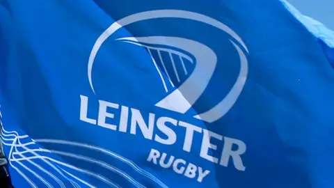 Leinster flag