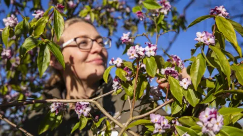 RHS/Oliver Dixon Claire Rady at RHS Wisley