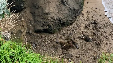 Newquay Town Council Fallen debris at bottom of beach