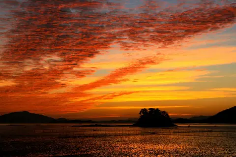 Suncheon City municipality government Coastal wetlands in South Korea