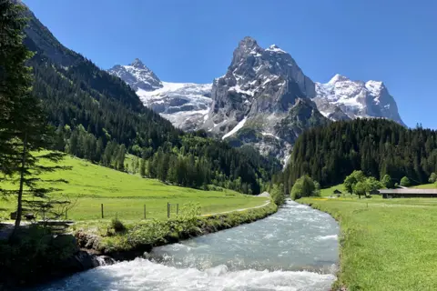 Alison Baillie The Glacier at Rosenlaui - a mountain beyond trees and a river