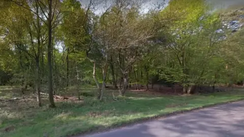 Google Ashdown Forest, East Sussex