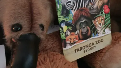 Gilda Fawkes George Fawkes' collection of toys