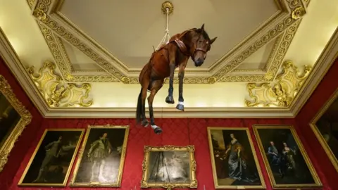 Getty Images Horse hanging from ceiling