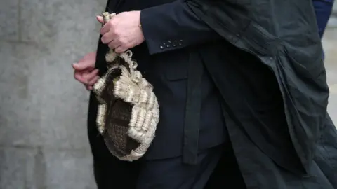 Peter Macdiarmid/Getty Images A barrister holding a wig