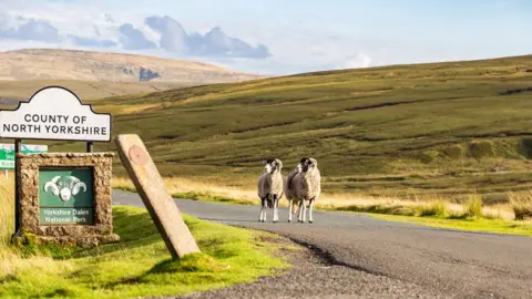 Getty Images Image of North Yorkshire sign with sheep