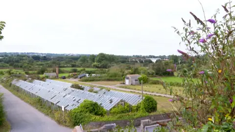 Guernsey potential housing site