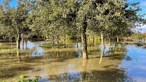 Matilda Temperely Flooded orchard