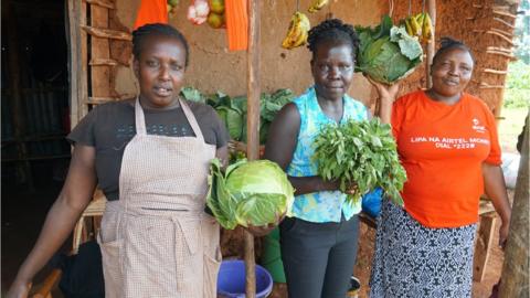 Kenya elections: Why farmers like William Ruto's big ambitions - BBC News