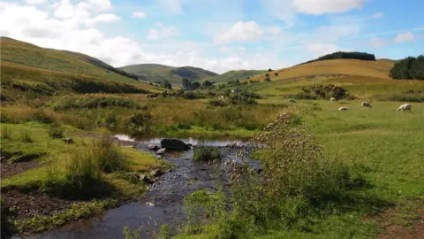  Chris Andrews The Halter burn flows into the Bowmont Water